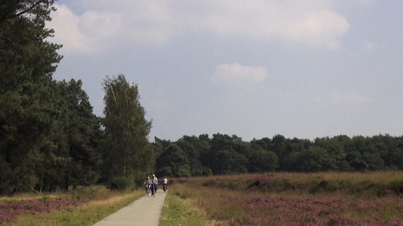 Huisje Venzicht 7 Spier Esterno foto