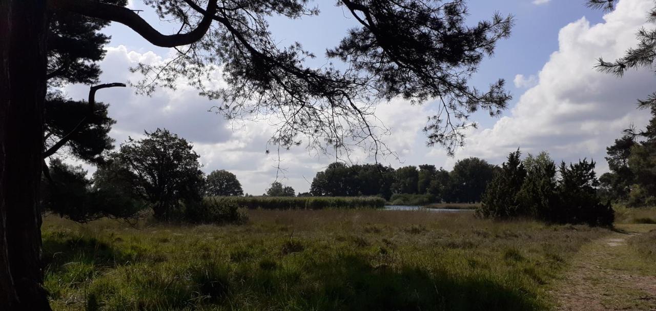 Huisje Venzicht 7 Spier Esterno foto