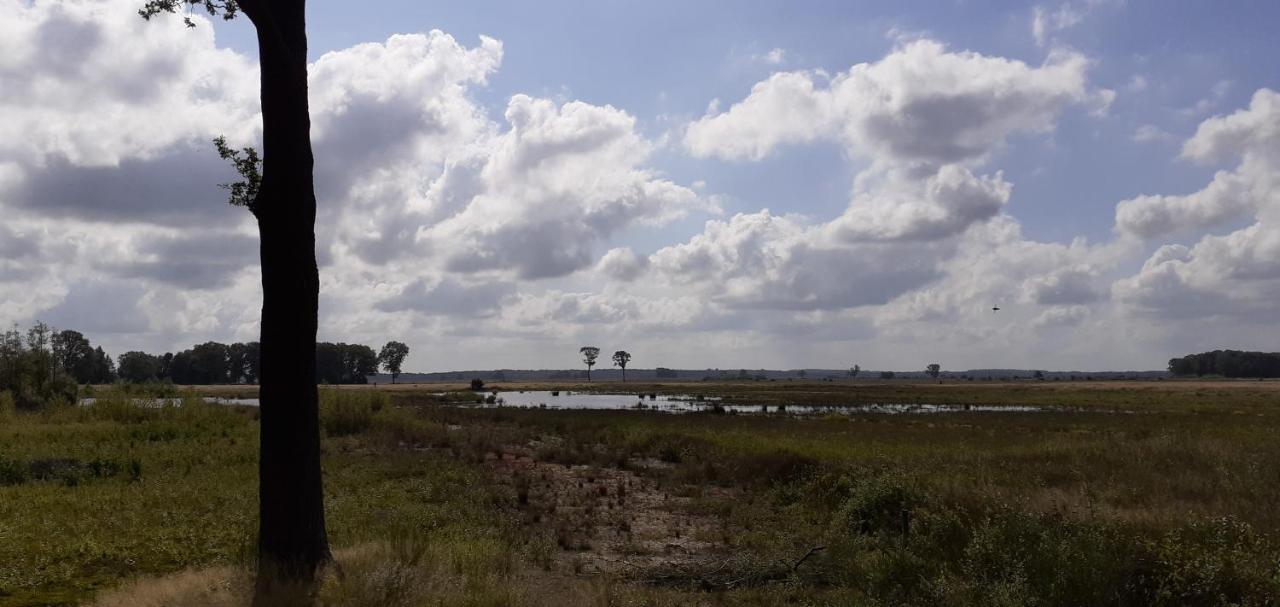 Huisje Venzicht 7 Spier Esterno foto